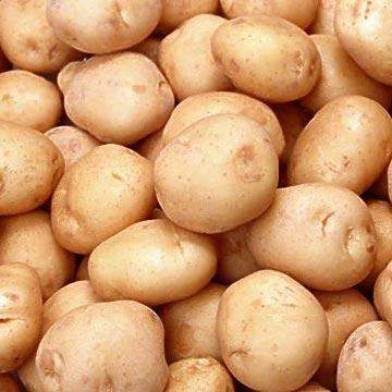 LBC: البطاطا اللبنانية والموز اللبناني ممنوعان من دخول سوريا