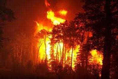 رياح شديدة تؤجج حرائق الغابات في تركيا