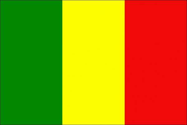  29 إصابة جديدة بكورونا في مالي والإجمالي 1059 حالة