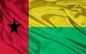 رئيس غينيا بيساو يعين حكومة جديدة لإنهاء الأزمة في البلاد
