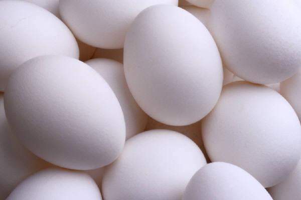 غسل البيض يتسبب بالجراثيم والبكتيريا