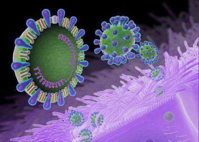 3 حالات شفاء و12 إصابة جديدة بفيروس كورونا في الإمارات