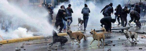 اشتباكات بين الشرطة التركية ومحتجين في أنقرة وأضنة ومرسين وأزمير