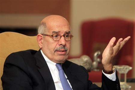 البرادعي: مرسي فشل اما الاخوان فهم جزء من العملية السياسية في مصر