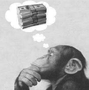 القرود تعي معنى النقود وكيفية إنفاقها