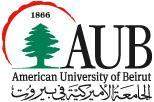 الجامعة الأميركية في بيروت تسجل أفضل النتائج بين الجامعات العربية 