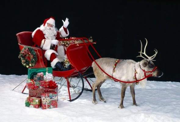 حيوان رنّة يهرب من بابا نويل !