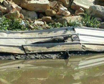 LBC: محاولات القبض على تمساح نهر بيروت باءت بالفشل