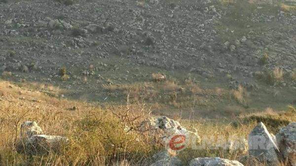 بلدية ميس الجبل نددت باطلاق الجيش الاسرائيلي رشقات نارية في اتجاه المنازل 