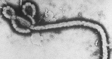 سلطات نيويورك أكدت تسجيل أول اصابة بفيروس &quot;ايبولا&quot; 