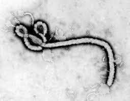 مسؤول اسبانيا:الممرضة الاسبانية تشفى من فيروس&quot;ايبولا&quot;وستغادر المستشفى 
