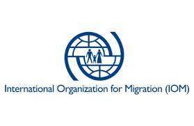 منظمة الهجرة: عدد النازحين العراقيين بسبب النزاع تجاوز 1.6 مليون شخصا 