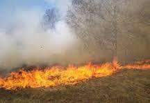 اندلاع حريق في حرج دير مارسركيس في بينو - عكار
