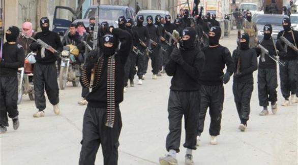 مقتل الساعد الأيمن لمسؤول داعش بديالى باشتباكات مع الجيش العراقي 