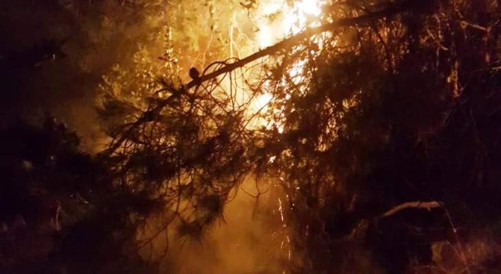 الدفاع المدني: إخماد حريق أعشاب يابسة وهشيم وأشجار في دير دوريت- الشوف