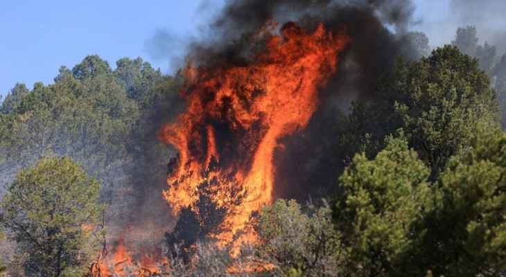 بايدن يوافق على إعلان بعض أجزاء نيو مكسيكو مناطق كوارث بسبب حرائق الغابات
