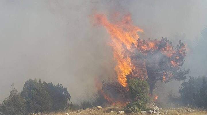 رئيس بلدية القبيات: الحريق الذي اندلع في جرود القبيات وصل الى المنازل