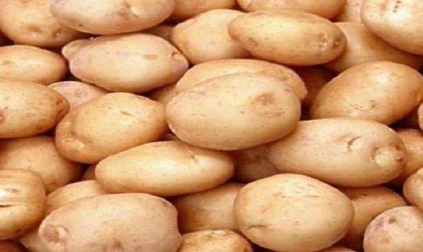 الاخبار: البطاطا اللبنانية بالدولار إلى سوريا بدلاً من الخليج وارتفاع سعرها المحلي الى 12 الف ليرة