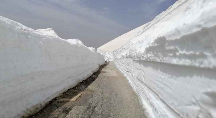 التحكم المروري: طريق عيناتا الأرز مقطوعة بسبب تراكم الثلوج