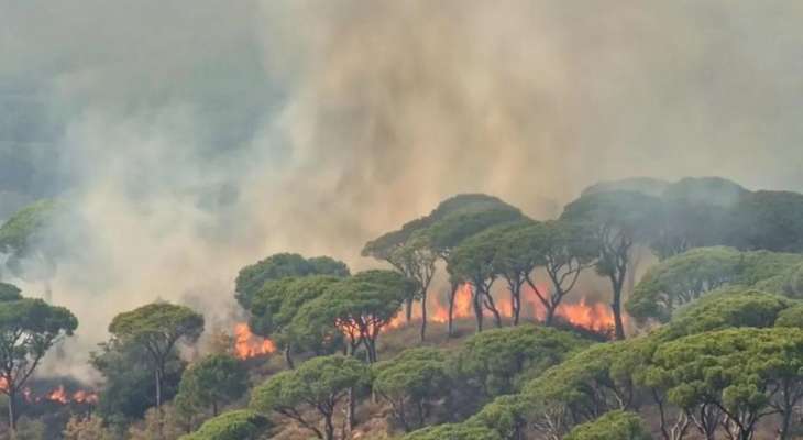 حريق كبير في أحراج الصنوبر في جزين