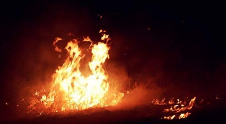 حرق هندية حية لاحتجاجها على قطع الأشجار