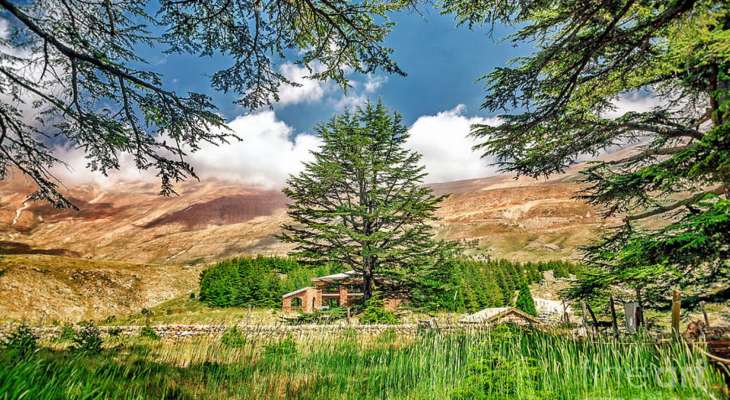 لبنان: قدس الله حدوده