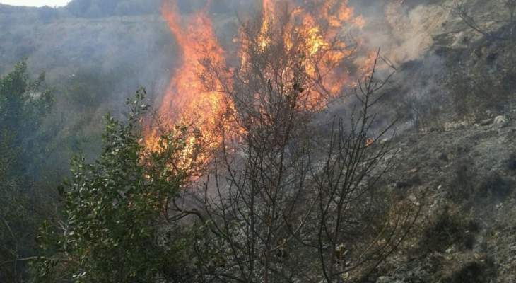 حريق هائل في الوادي الممتد بين بلدتي معروب وباريش