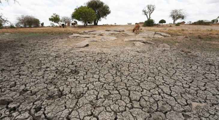 الأمم المتحدة: نتوقع أن يزداد الجفاف المدمر في القرن الإفريقي سوءا مع شح الأمطار للعام الخامس تواليا