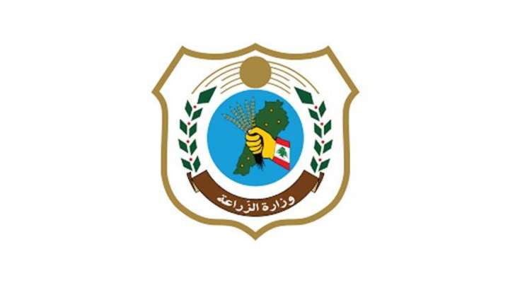 وزارة الزراعة ردا على شائعات متعلقة بإدخال إرسالية بطيخ منشأ مصر: دخولها راعى أحكام القانون