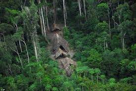 النروج تمنح البرازيل مليار دولار للحفاظ على غابات الأمازون