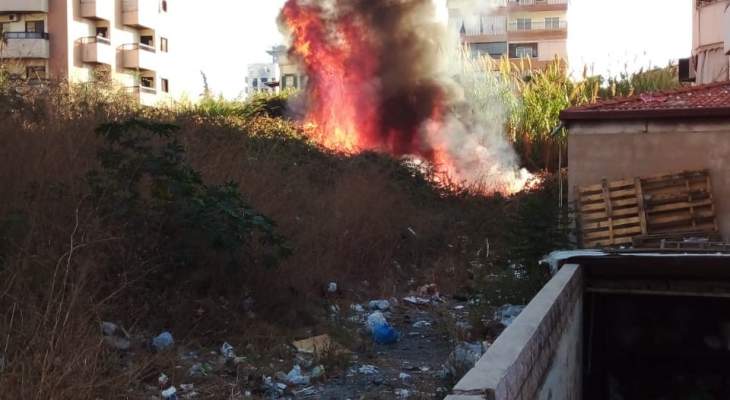 النشرة: إخماد حريق قصب وهشير اندلع في حي البراد وسط صيدا
