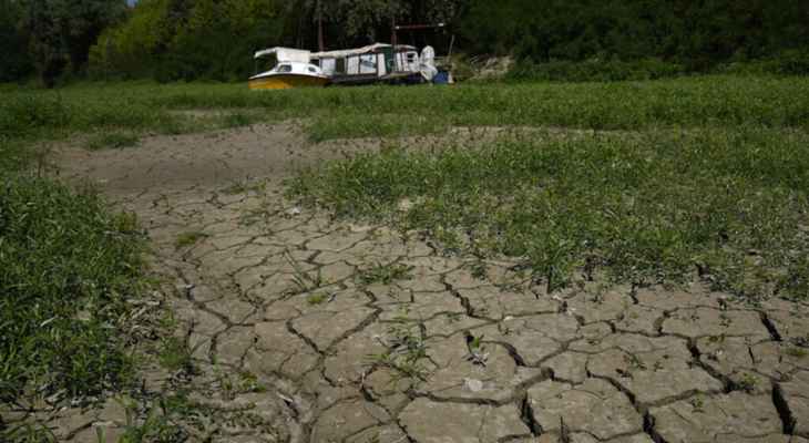 صحيفة إيطالية: خسائر مجال الزراعة بالبلاد من موجة الحر والجفاف الحالية قد تبلغ 6 مليارات يورو