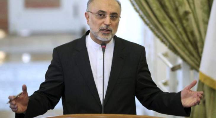 رئيس منظمة الطاقة النووية: إيران لن تتردد باتخاذ أي إجراء لضمان أمنها