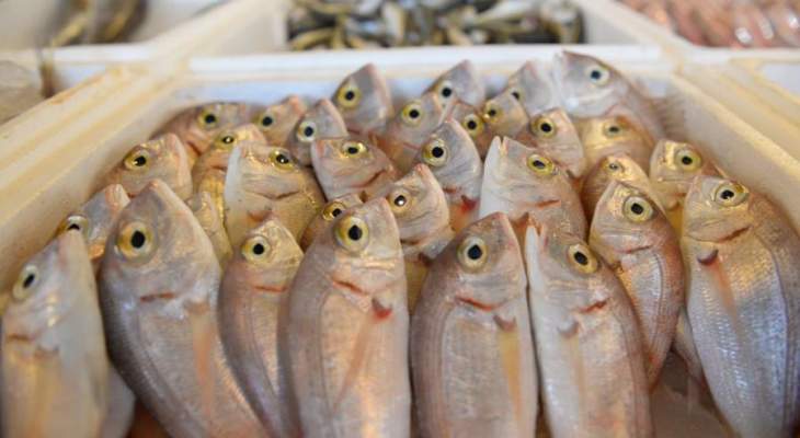 إقفال المزاد العلني في سوق السمك في صيدا لمخالفته قرار التعبئة العامة