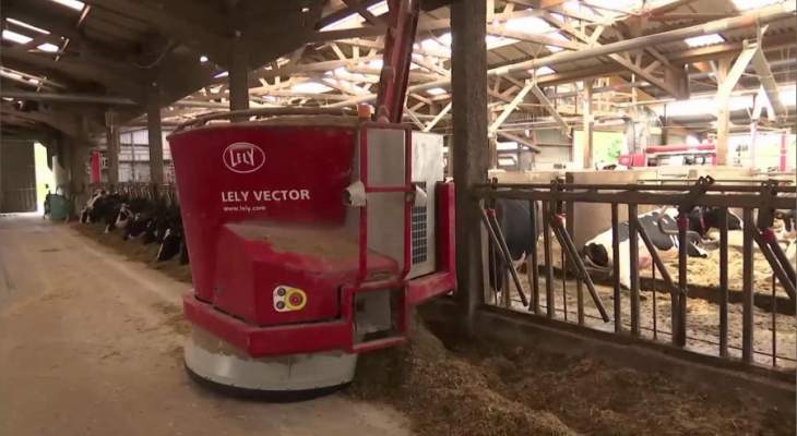 مزرعة أبقار في فرنسا تديرها روبوتات 