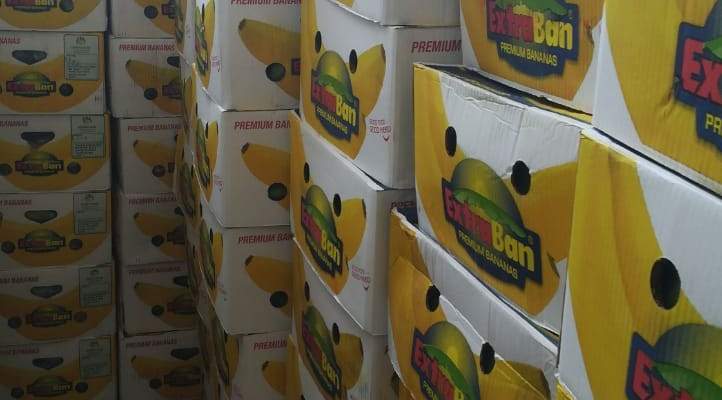 جمارك طرابلس ضبطت 3 طن من الموز الصومالي المهرب