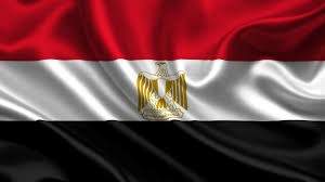 الحكومة المصرية: الإمارات تسمح بدخول المنتجات الزراعية دون شهادة تحليل المبيدات
