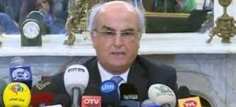 رئيس المجلس الدستوري: سأسحب الدعوى ضد ديما جمالي بعد اعتذارها  