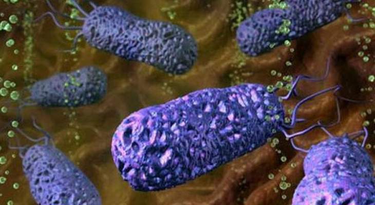 اكتشاف بكتيريا عمرها 2.5 مليار سنة