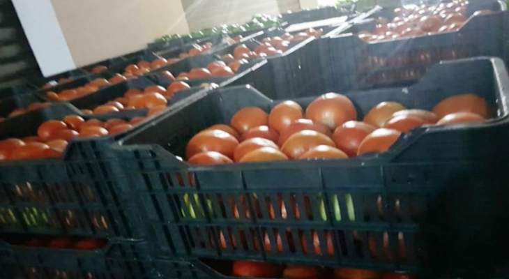 ضبط 9 اطنان من البندورة السورية المهربة في سوق خضار قب الياس