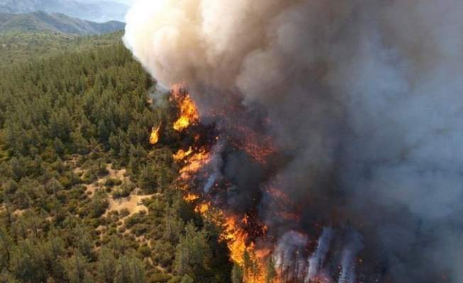 الحرائق المستمرة في ليتوانيا تلتهم ألف هكتار من الغابات حتى الان