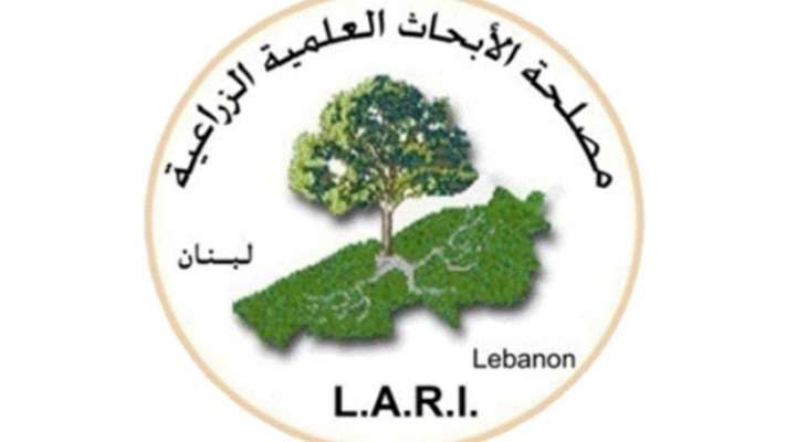 "Lari" حذرت  المزارعين: لرش المبيدات الكيميائية وتغطية كروم العنب قبل هطول الامطار