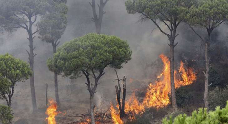 وزارة البيئة دعت الى تجنب استخدام أي مصدر للنار بالقرب من الغطاء النباتي مع ارتفاع خطر الحرائق