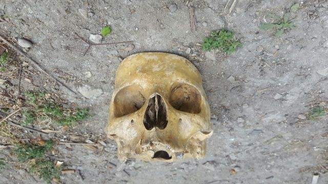 العثور على 33 جمجمة بشرية مدفونة في منطقة غربي المكسيك