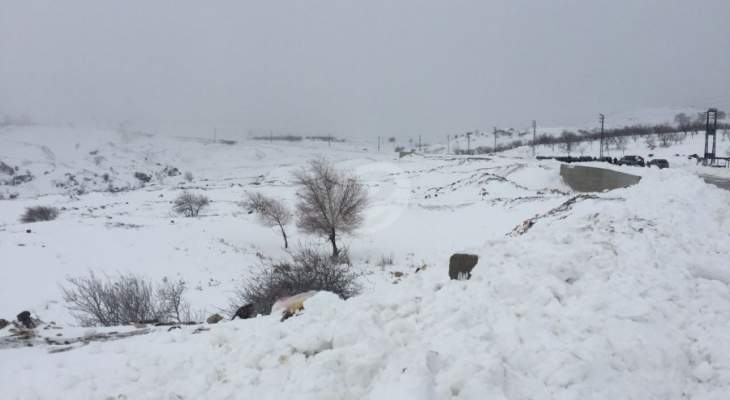  إنقاذ مواطنين احتجزتهم الثلوج داخل سياراتهم في أعالي جبل صنين