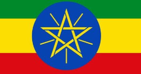 وزارة الخارجية الإثيوبية: نقوم بتصحيح عمل السفارات عبر تقليل عددها وتعديل طريقة العمل