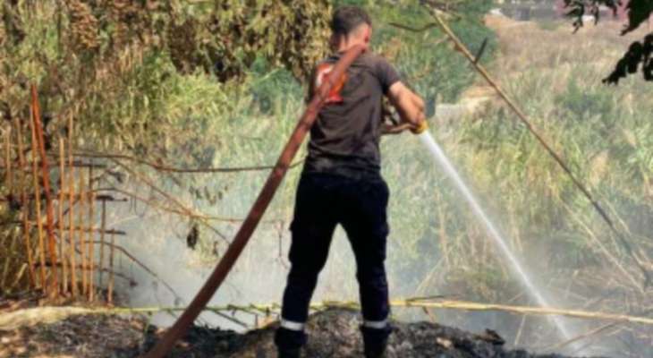 الدفاع المدني أهمد حريقا في حقل من القصب في خريبة الجندي طاول اشجارا حرجية ومثمرة