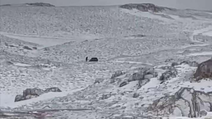 الدفاع المدني: إنقاذ 4 مواطنين بينهم طفل حاصرتهم الثلوج على مرتفعات بسكنتا- جرود صنين