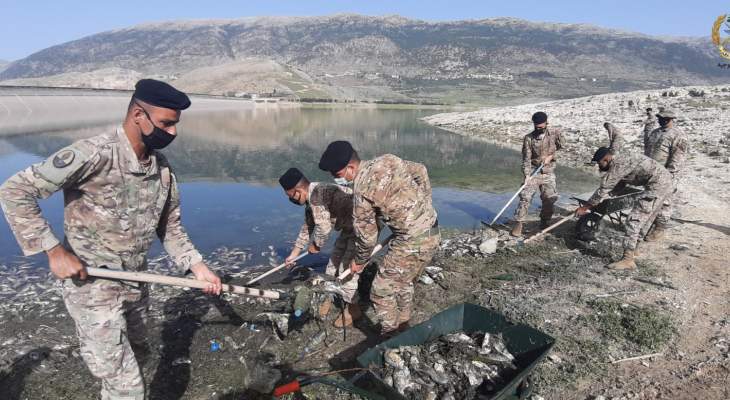 وحدات الجيش تواصل مشاركتها بعملية تنظيف ضفة بحيرة القرعون من الأسماك النافقة