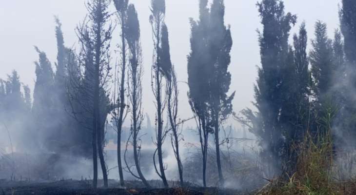 اندلاع حريق في المشتل الزراعي لوزارة الزراعة في العبدة والأهالي يناشدون المؤازرة